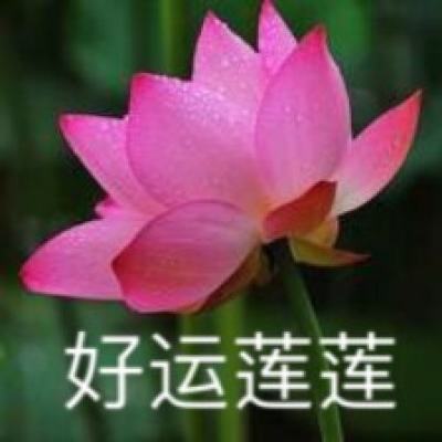 万界天尊手游下载